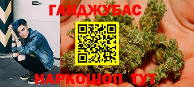 гашик Майкоп