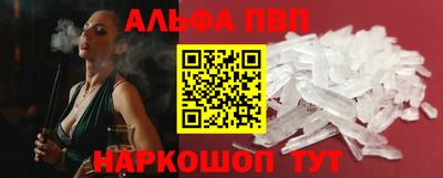 гашик Майкоп
