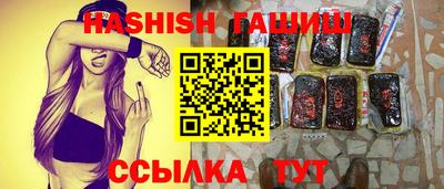 гашик Майкоп