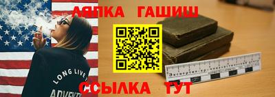 гашик Майкоп