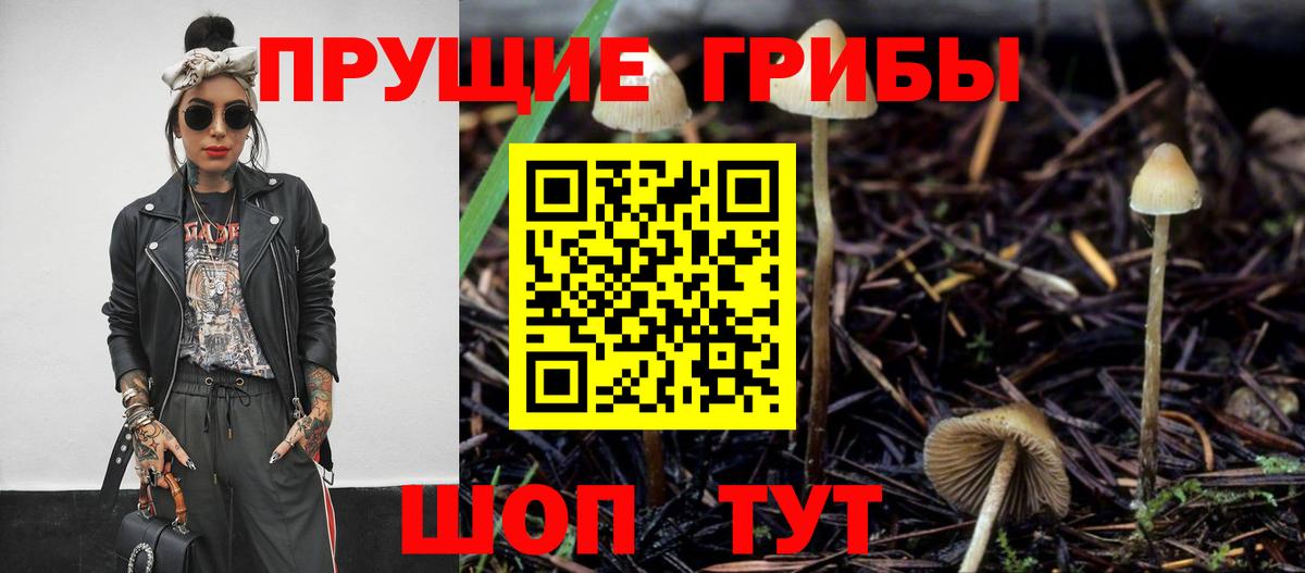 Галлюциногенные грибы Psilocybine cubensis  Вход с VPN  Кулебаки 